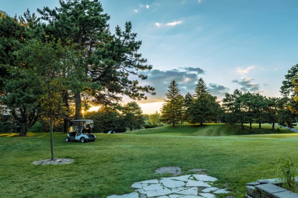 IMG-Golfcart-Sunset